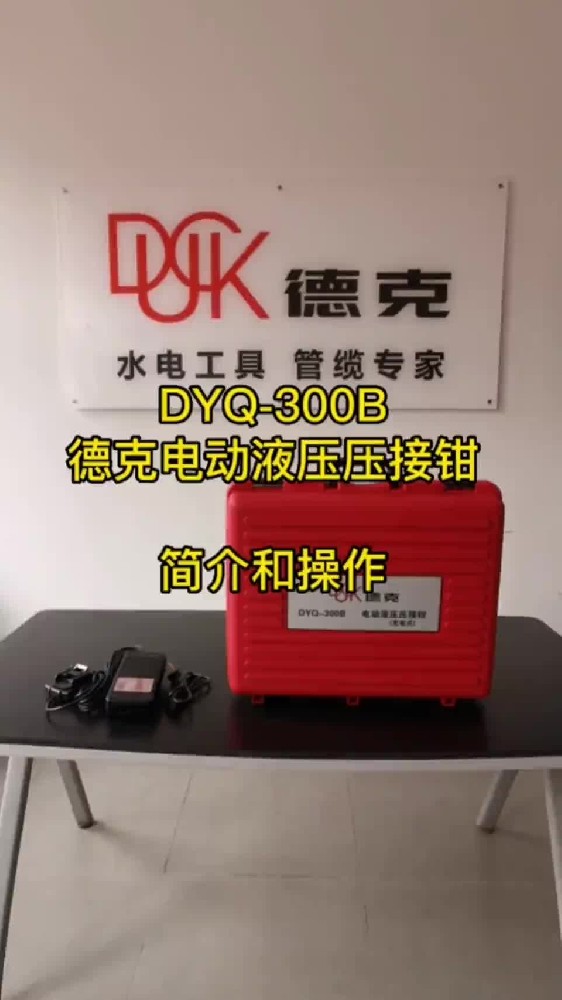 DYQ-300B-ҕl