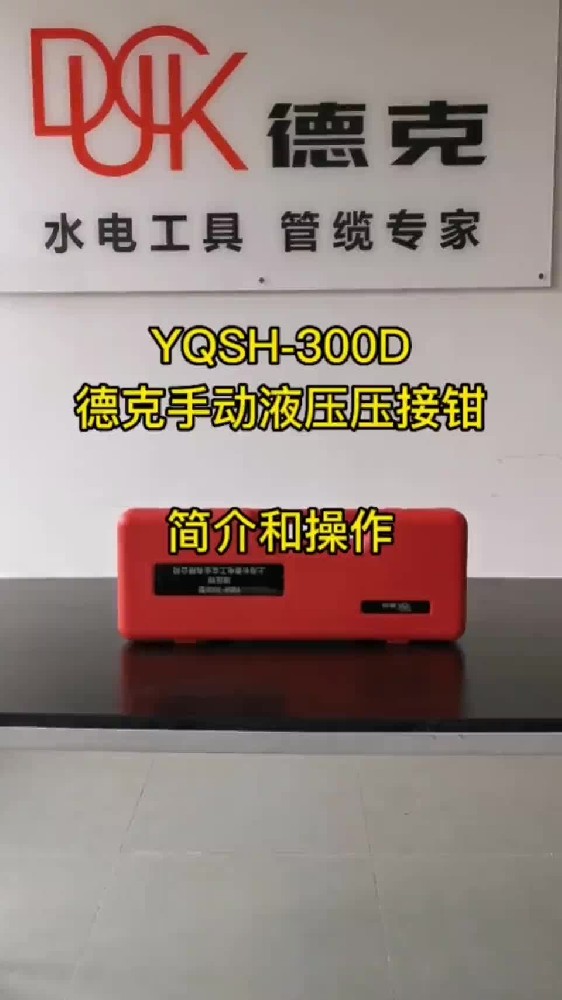 YQSH-300D-ҕl