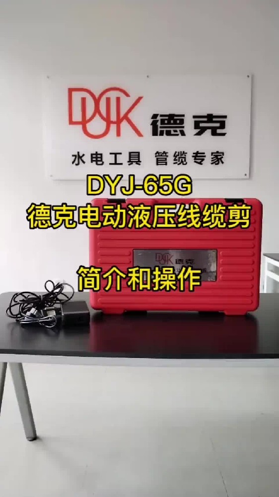 DYJ-65G-ҕl