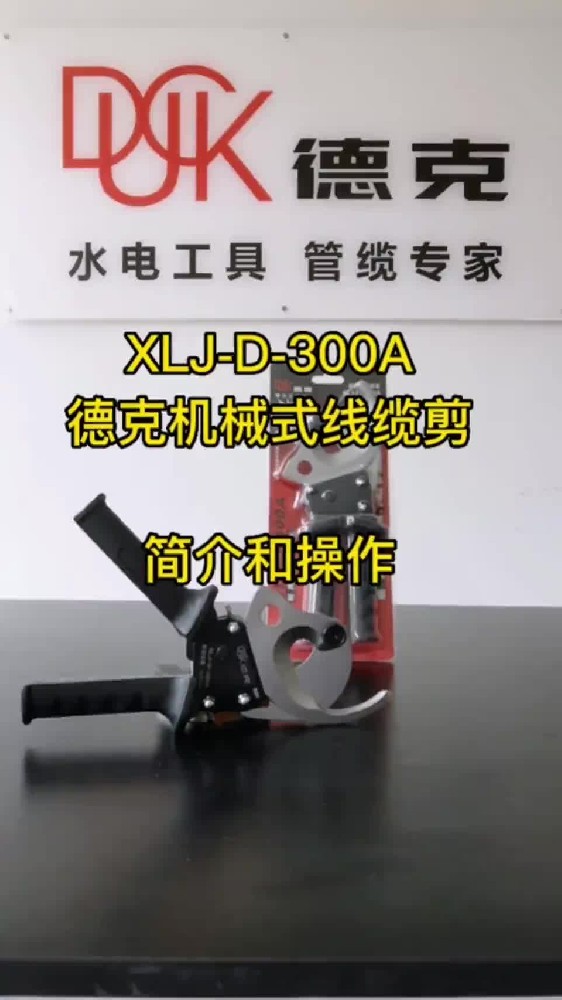 XLJ-D-300A-ҕl