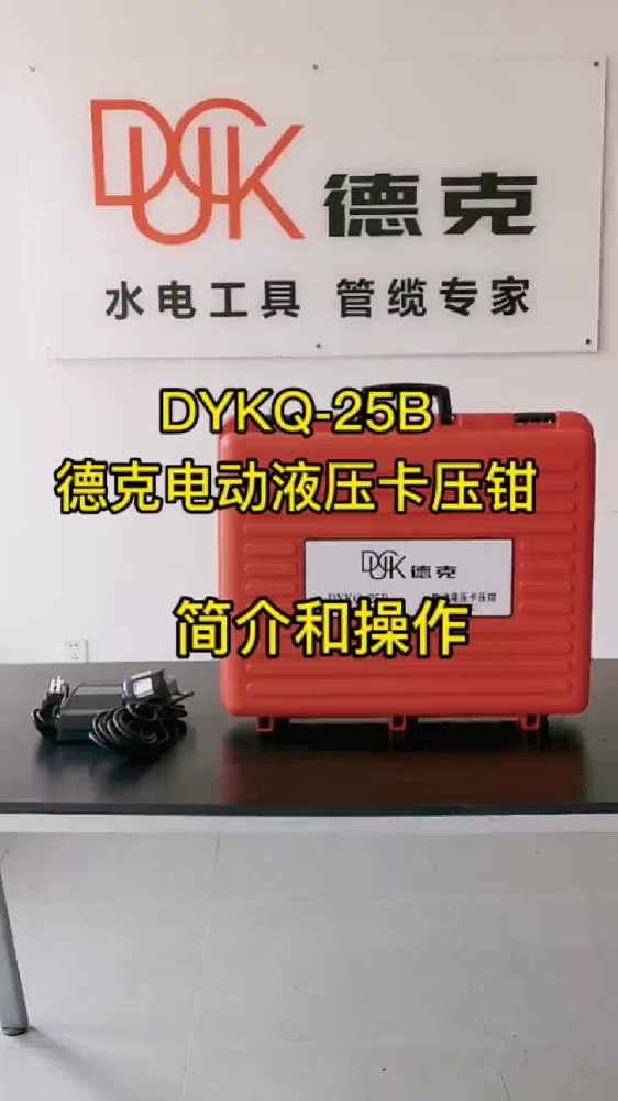 DYKQ-25B-ҕl