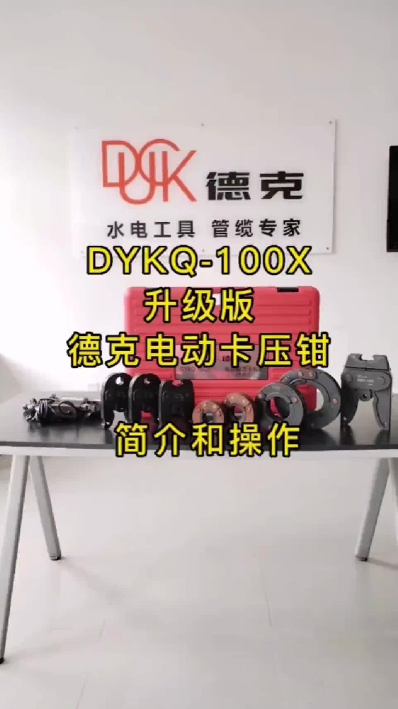 DYKQ-100X-ҕl