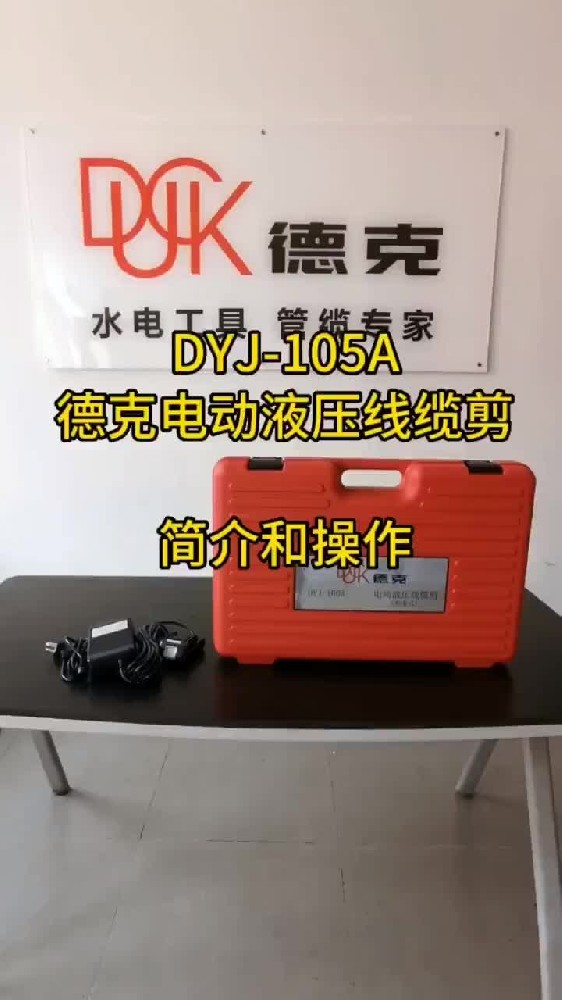 DYJ-105A20T 棩-ҕl