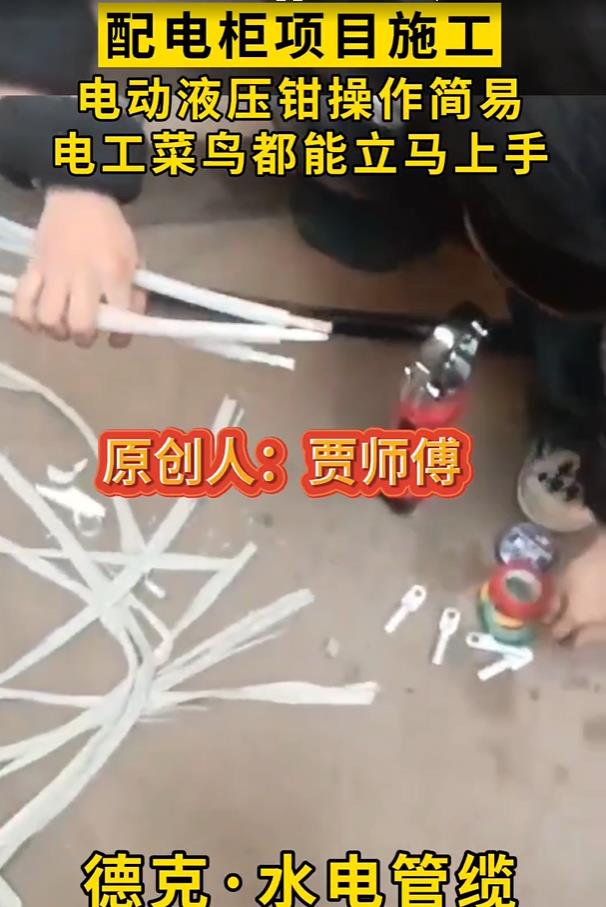 B늹늹Ŀ