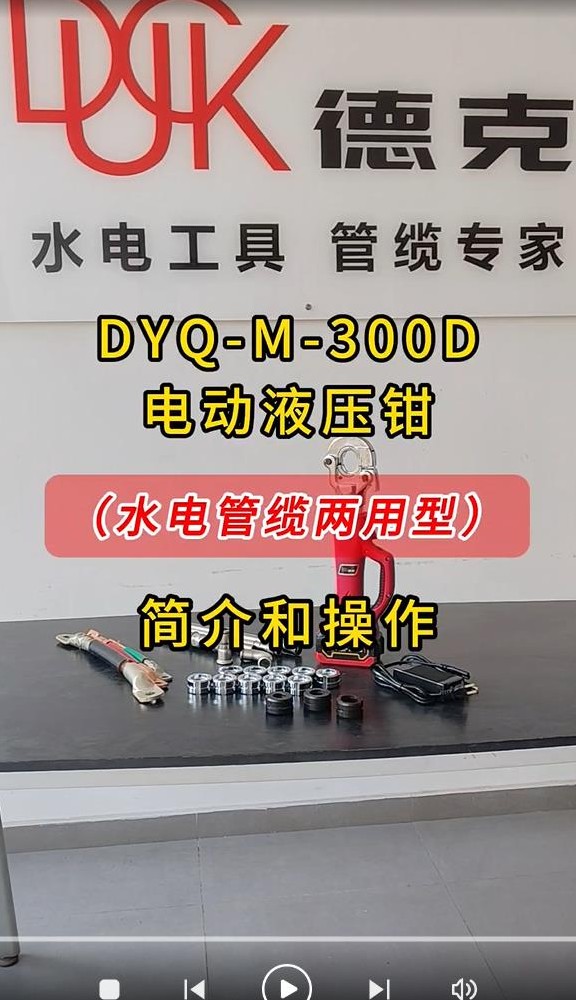 DYQ-M-300D ˮ늹| ҕl