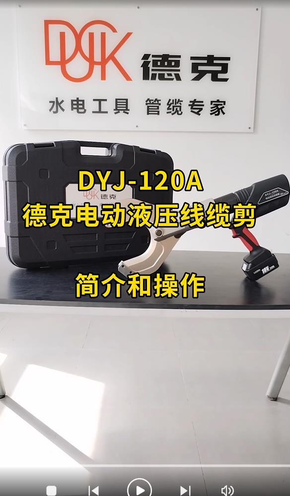 DYJ-120A-ҕl