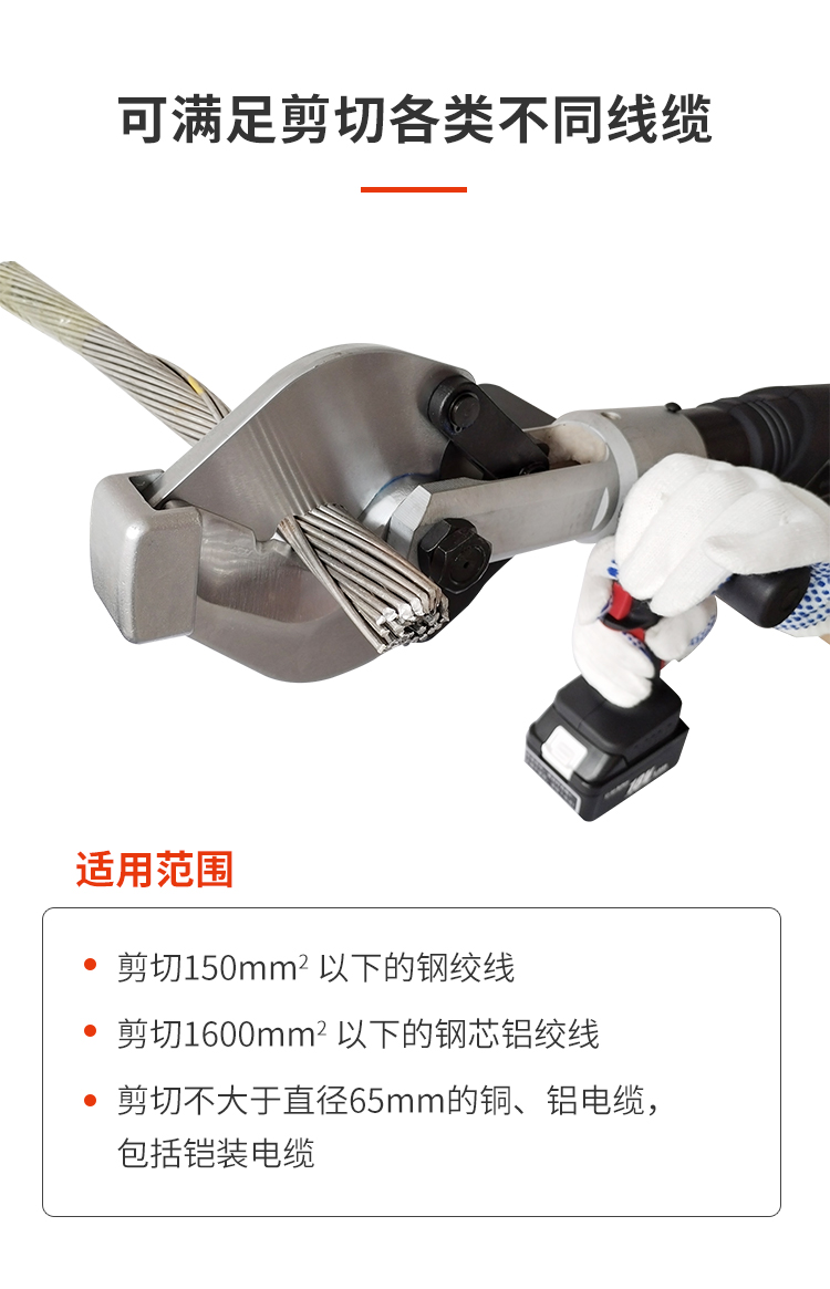 DYJ-65G_06.jpg